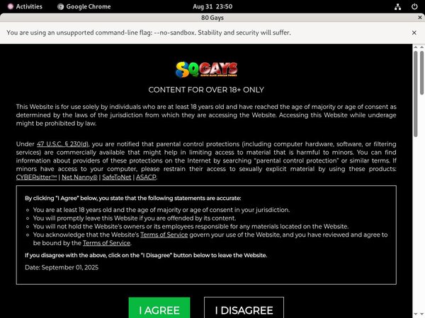 80 Gays Free Logins