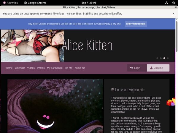 AliceKitten Access
