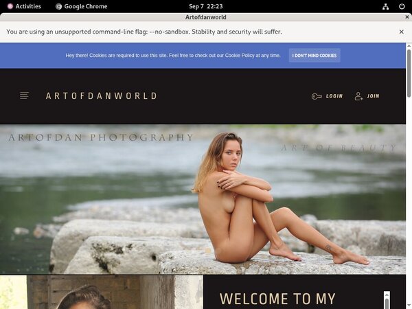 Artofdan Membership Account