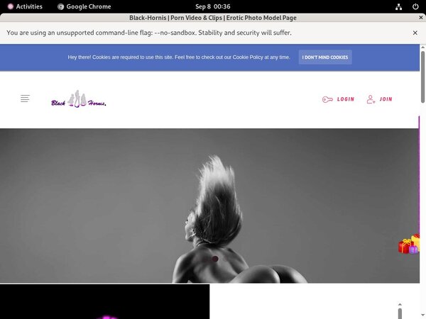B L A C K - H O R N I S Free Account Password