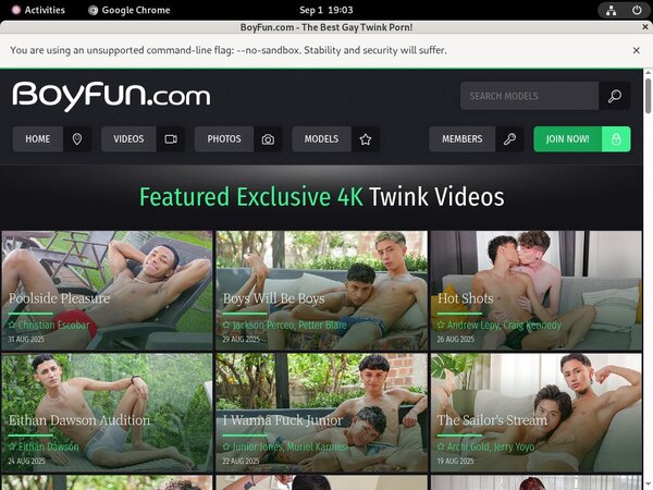Boy Fun Pornstar