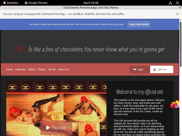 CoCoChanel Password Generator