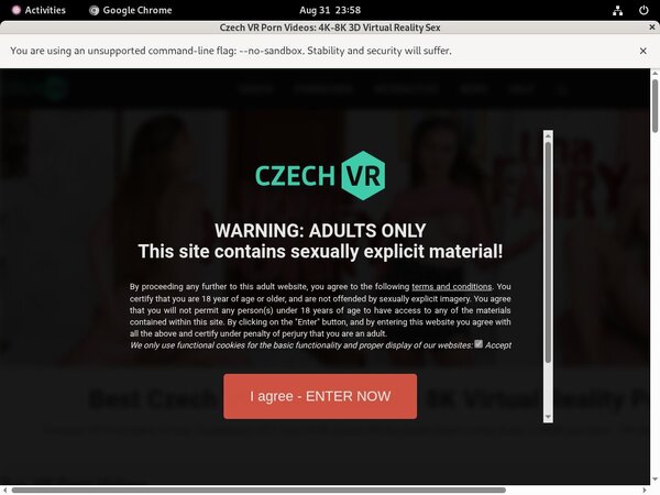 Czech VR Account Share