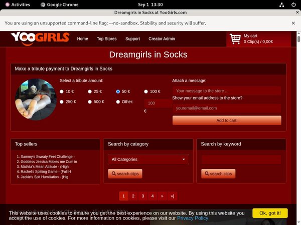 Dreamgirls In Socks Premium Password