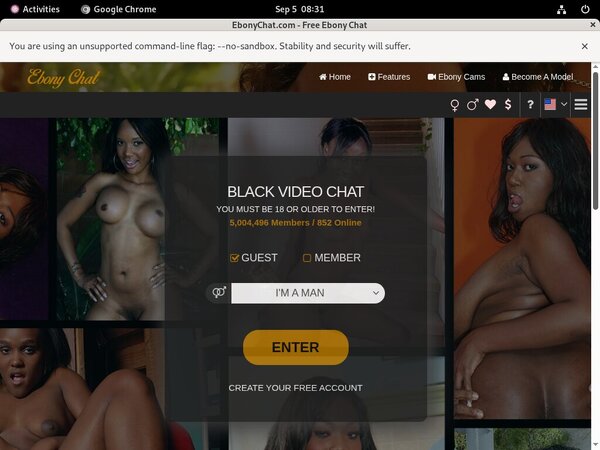 Ebony Chat Accounts And Password