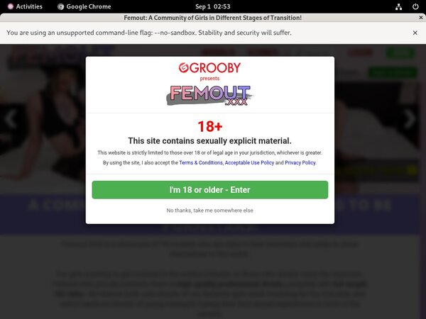 Femout Free Premium Accounts