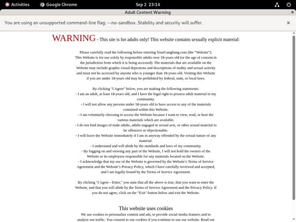 Free America Bukkake Passwords