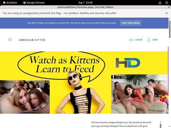 Free Americankittens Videos