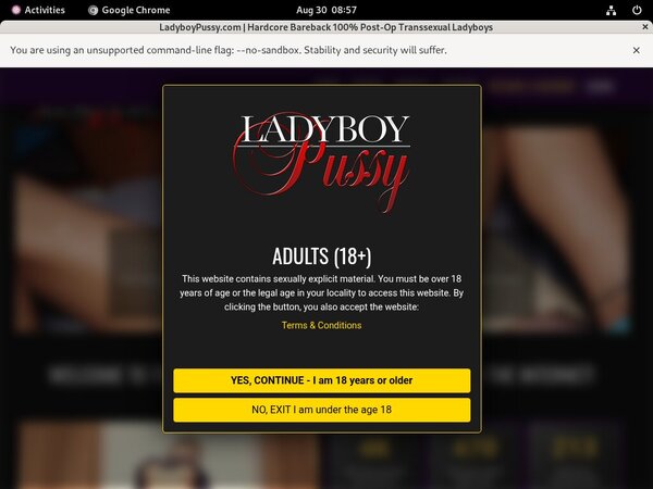 Free Ladyboypussy.com Discount Code