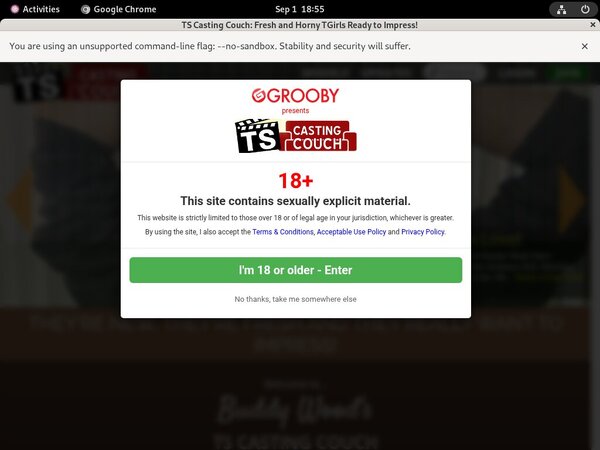 Free Pass Ts-castingcouch.com