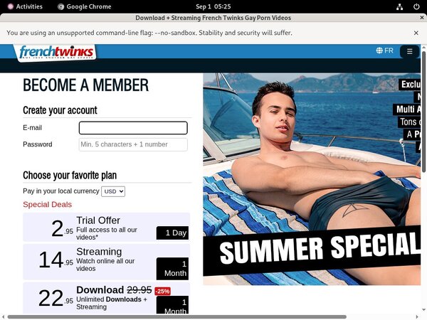 Frenchtwinks Using Pay Pal