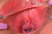 Gapemypussy.com Payment Form s4 Gapemypussy.com Payment Form s4