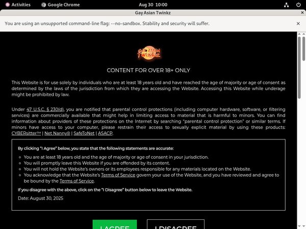 Gay Asian Twinkz Idealgasm Deal