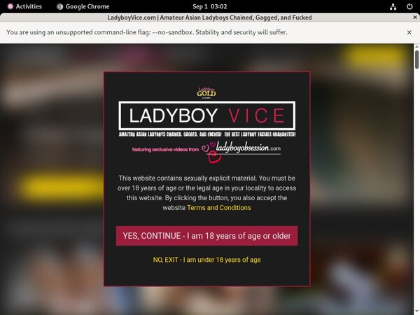 Get A Free Ladyboyvice Account