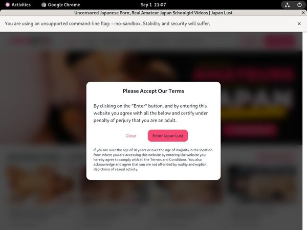 JapanLust Rocketpay