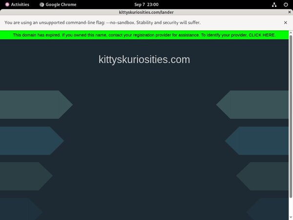 Kitty'sKuriosities Login Free