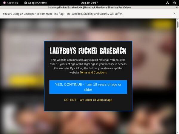 Ladyboysfuckedbareback.com Gallery