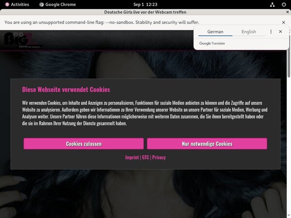 Lanagiselle.tv Websites