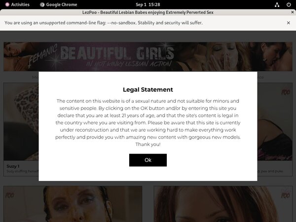 Lez Poo Web Site