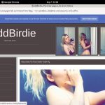 Login To BaddBirdie For Free