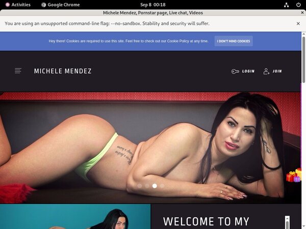 Michele Mendez Mail Order