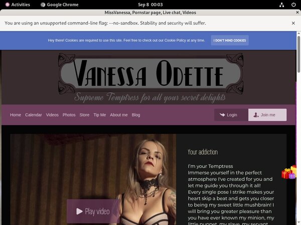 MissVanessa Porn Stars