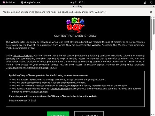 Net Asiaboy Discount Deal