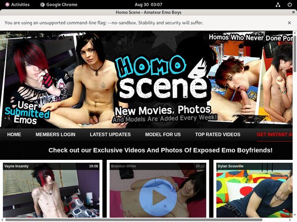 Onhomoscene.com