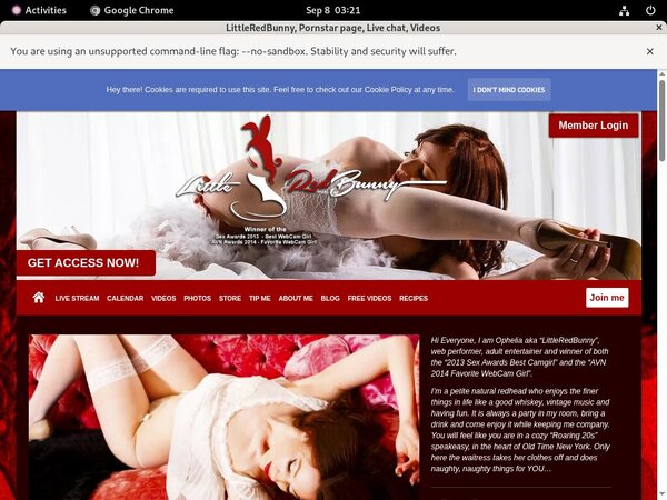 Password LittleRedBunny Free