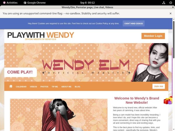 Passwords Wendy Elm Free