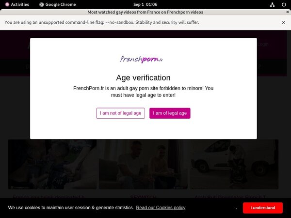 Porn Frenchporn.fr Free