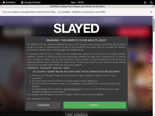 Premium Slayed.com