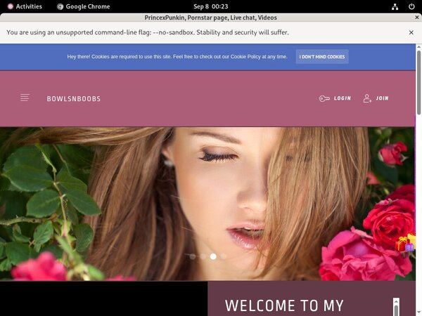 PrincexPunkin Free Username