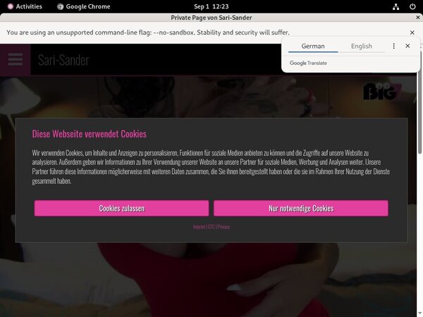 Sari Sander Full
