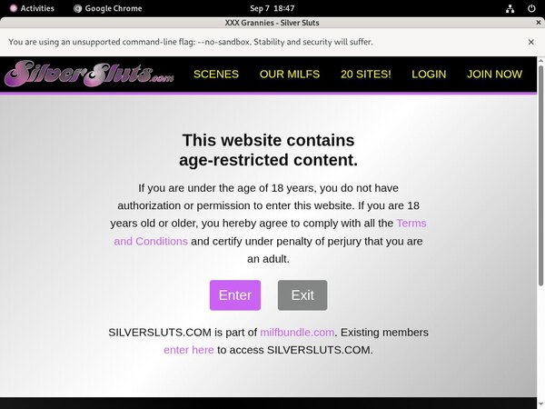 Silversluts.com Discount Payment