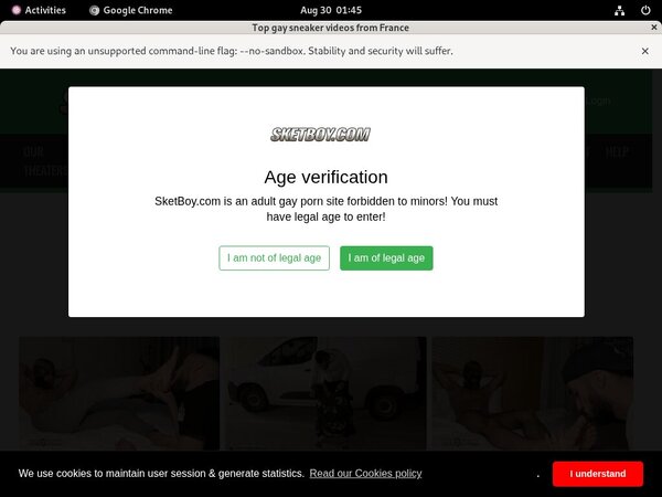 Sketboy.com Access Sketboy.com Access
