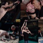 Subspace Land Member Discount