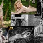 Subspace Land Sign Up Page