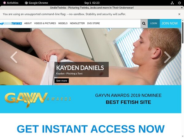 Undietwinks.com Password Site