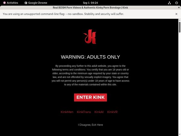 Valid Kinkunlimited.com Passwords