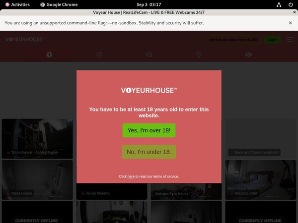 Voyeur House Archive