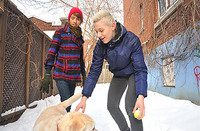 Watch Beddableboys Free s2