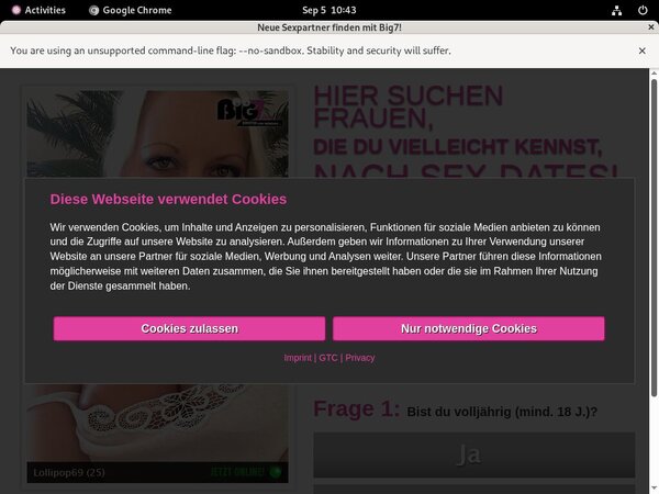 YourSecretDream Paypal Option