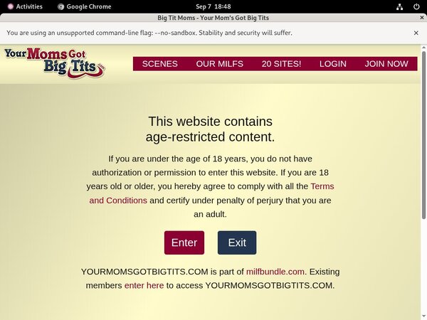 Yourmomsgotbigtits.com Stars