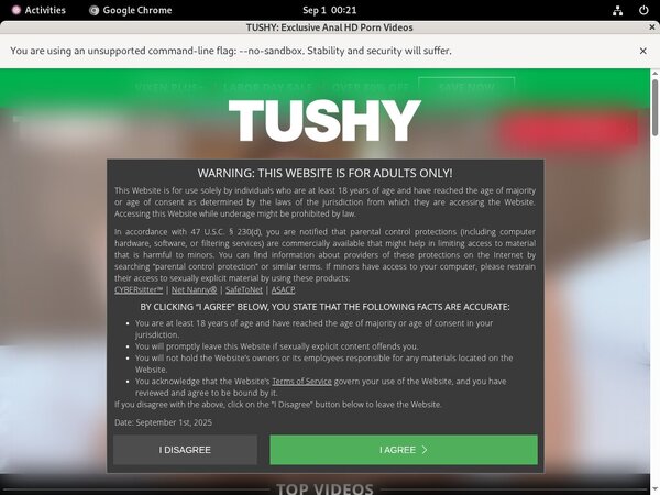 Tushy Sex Tube