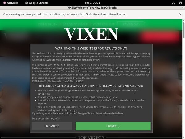 Gay Vixen